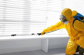 Best Organic or Eco-Friendly Pest Control  in Lula, GA